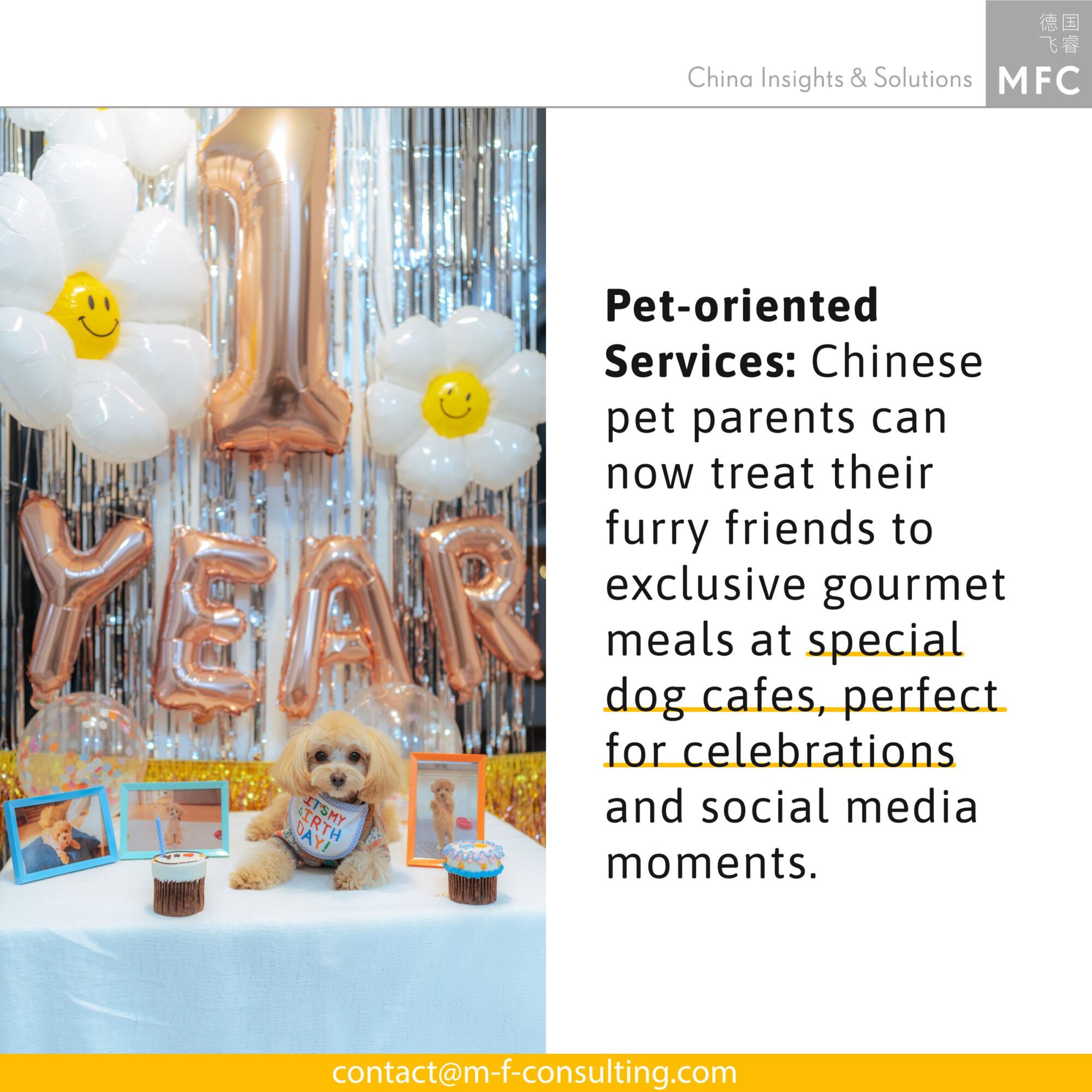 China's pet industry: Pet-oriented services: Chinese pet parents can now treat their furry friends to exclusive gourmet meals at special dog cafes, perfect for celebrations and social media moments.