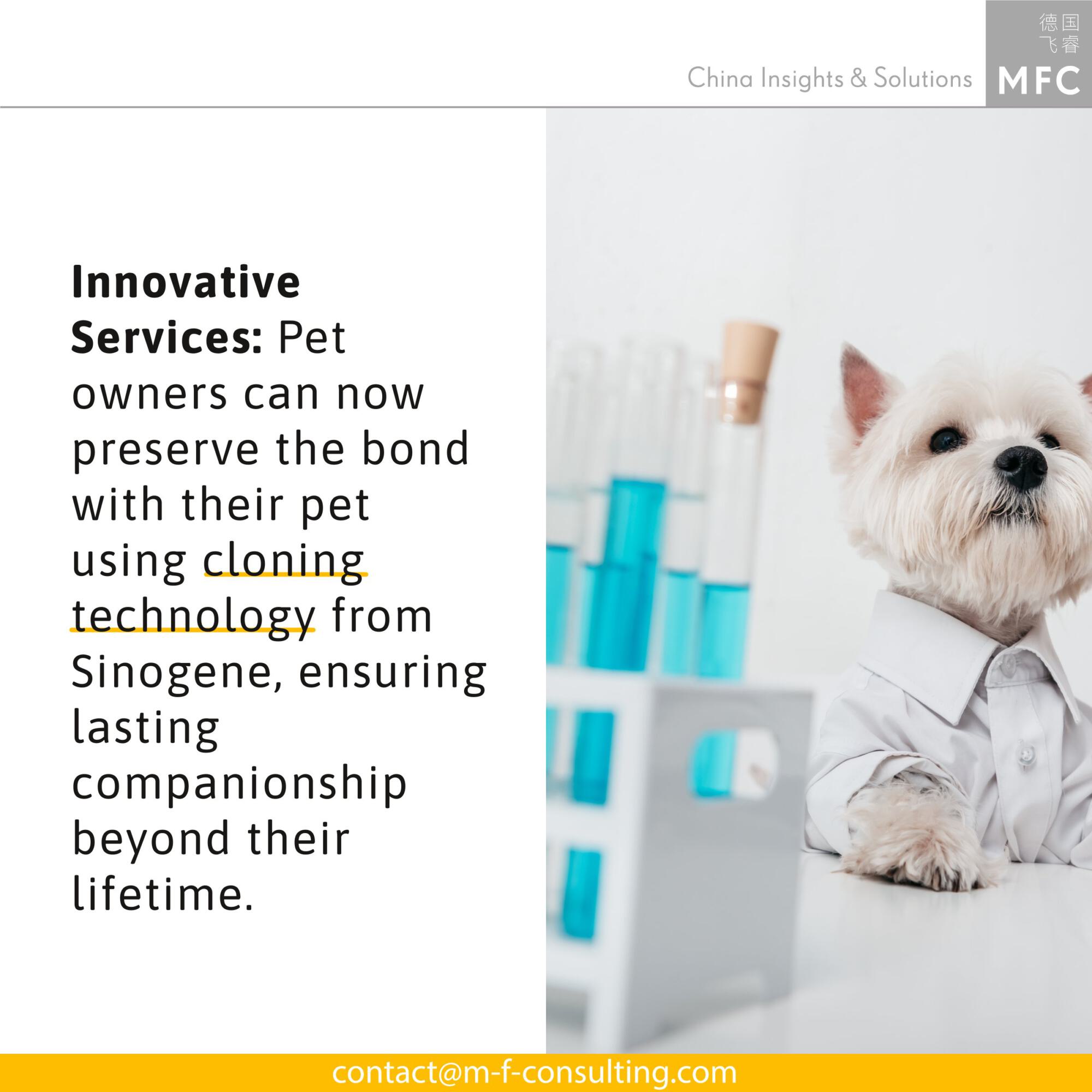 China's pet industry: innovative services - pet owners can now preserve the bond with their pet using cloning technology from Sinogene, ensuring lasting companionship beyond their lifetime.