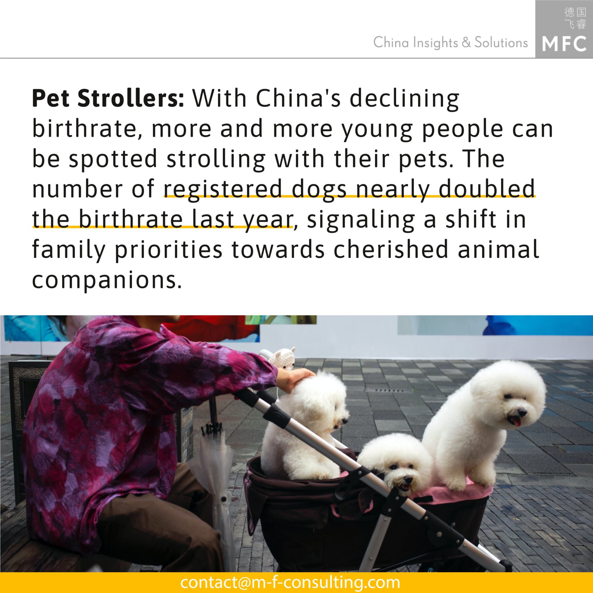 China's pet industry: With China's declining birthrate, more and more young people can be spotted strolling with their pets. The number of registered dogs nearly doubled the birthrate last year, signaling a shift in family priorities towards cherished animal companions.